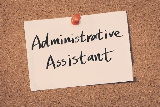 Professional Assistant
